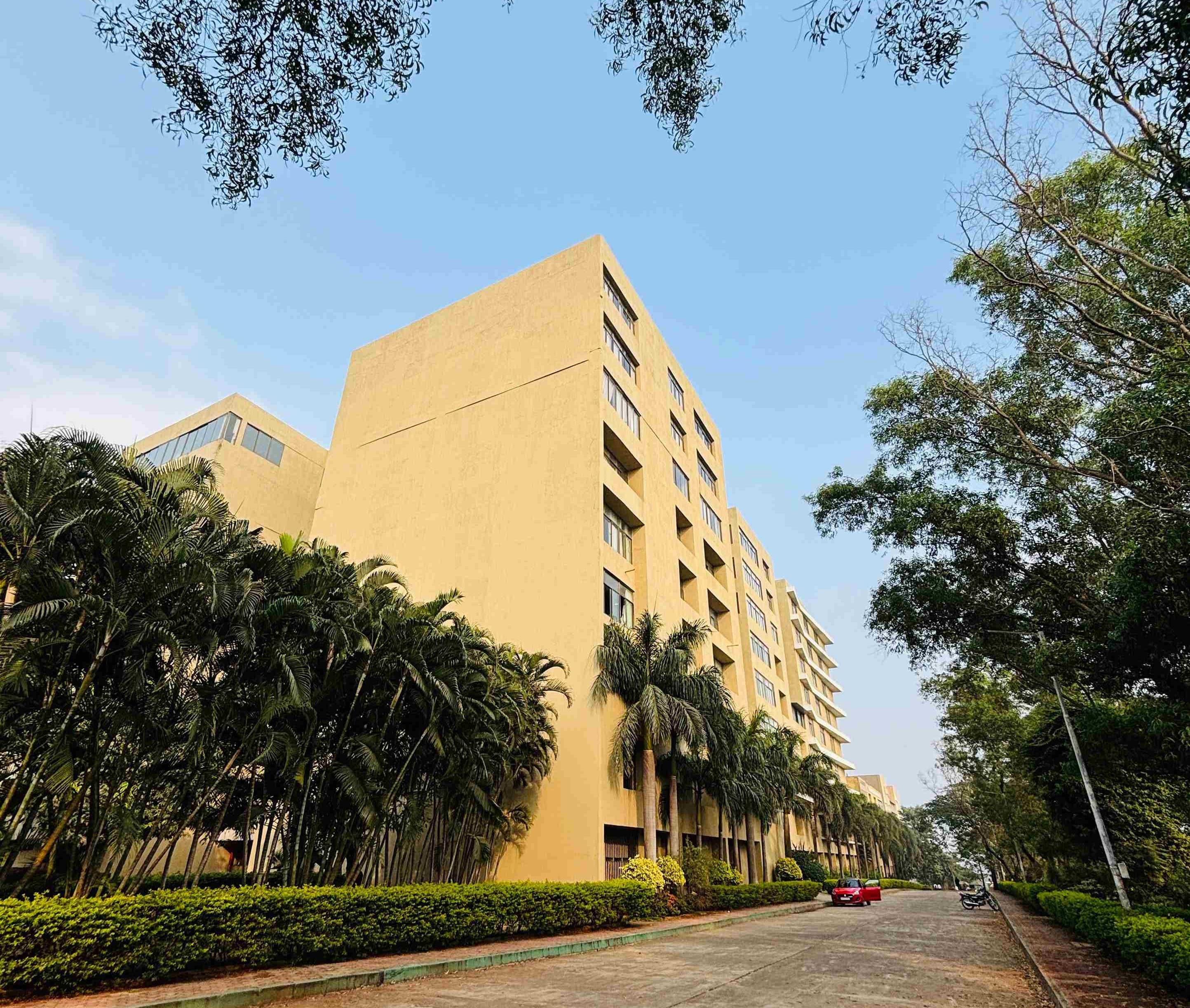 DY Patil University Pune Campus photo 11